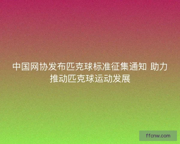 中国网协发布匹克球标准征集通知 助力推动匹克球运动发展